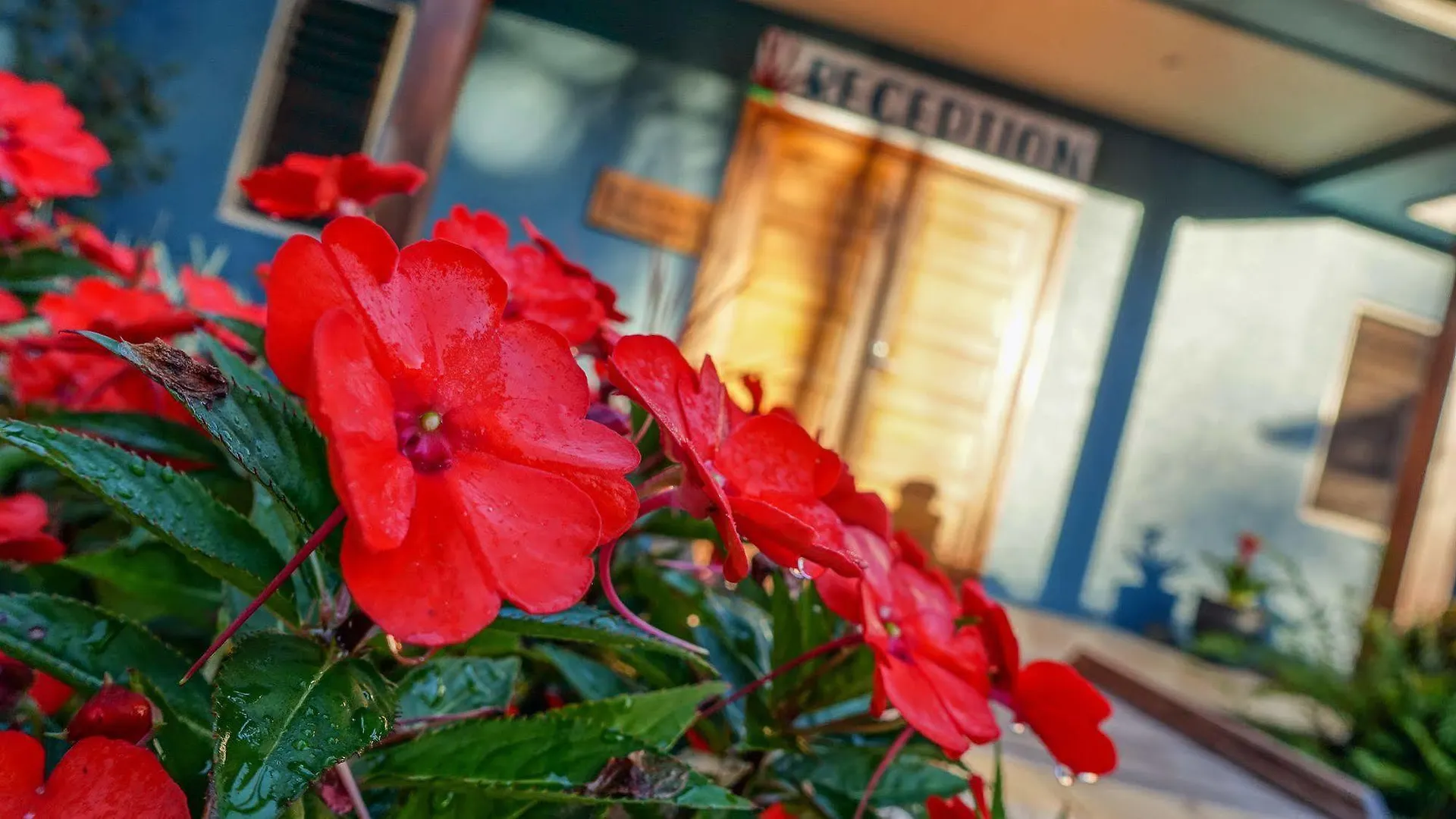 Guest house Blue Summit Hideaway Hotel Yungaburra